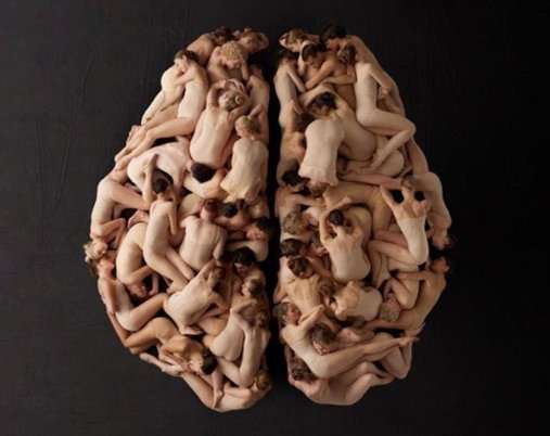 human-brain